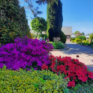 Friedhof in Hittfeld. Foto: A. Hankotius